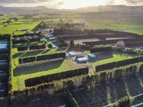 9779 State Highway 2, Waihi