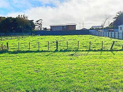 53 Patu-kukupa Street, Manaia