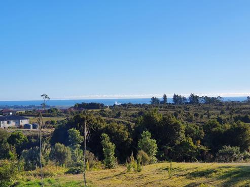 8 Big Paddock Road, Kaniere