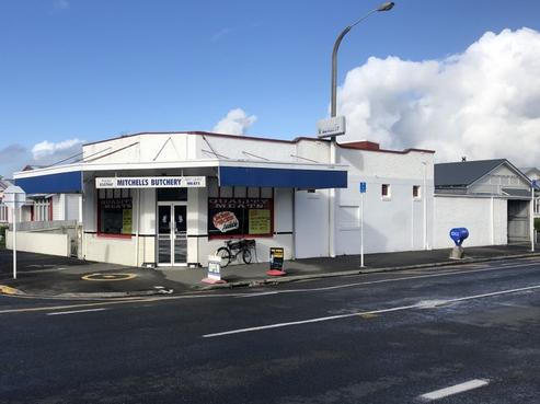 114 Vigor Brown Street, Napier South