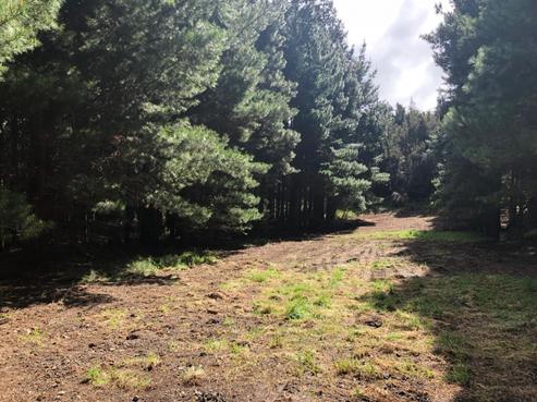 2175 Inland Road, Lyford