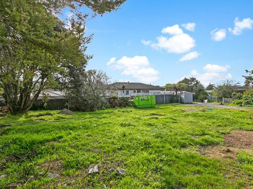 63B Harrington Road, Henderson