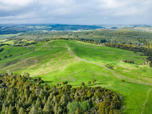 1053 Waihue Road, Dargaville Surrounds