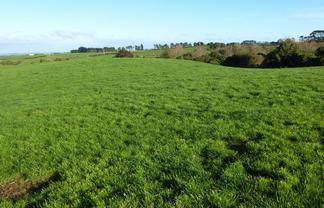 343 Opunake Road , Stratford