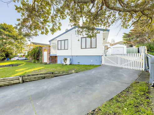 148 Finlayson Avenue, Clendon Park