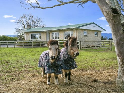 6049 State Highway 27, Ngarua