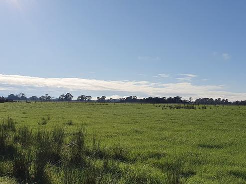 651 State Highway 53, Featherston