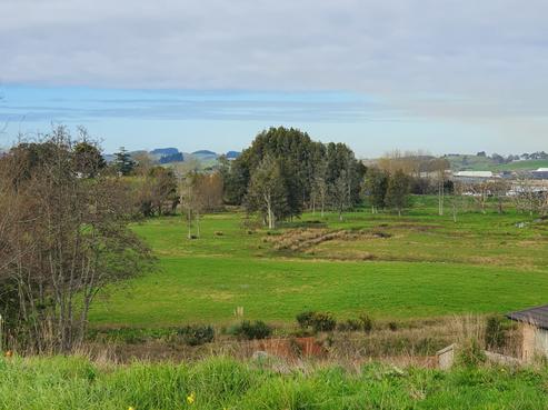 22 Thomason Crescent, Pokeno