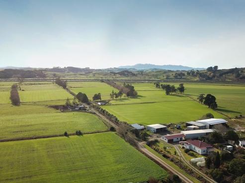 145 Awakino Point North Road, Dargaville Surrounds