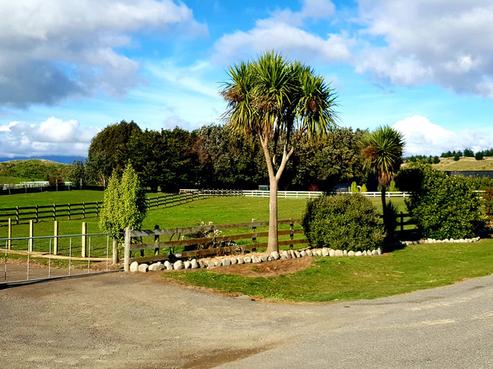 15 Grefor Lane, Waitarere