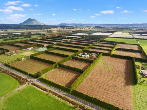 310 Macdonald Road, Te Teko