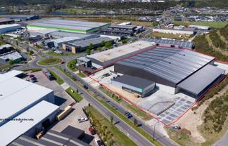 The ultimate in Tauriko