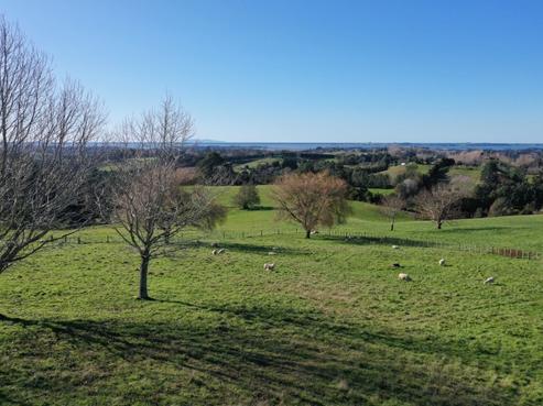 199 Upland Road, Aongatete