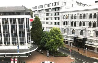 Warm Offices with Views