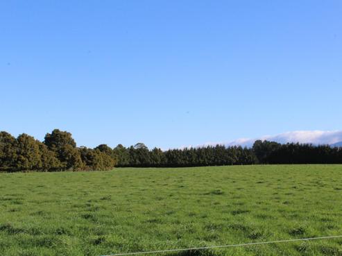 109 Vaughan Road, Takapau