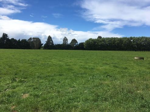 676 Gibson Road, North Otago
