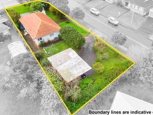 1 Vodanovich Road, Te Atatu South