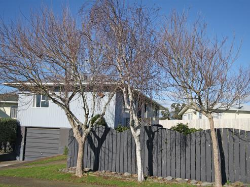 7 Veronica Place, Bell Block