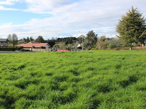 257 Greenhill Drive, Te Awamutu