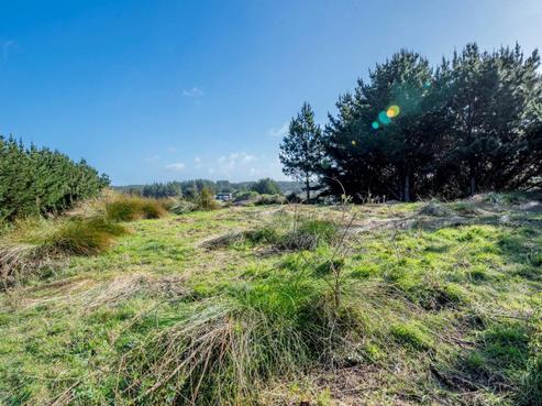 176 Quail Way, Waitarere