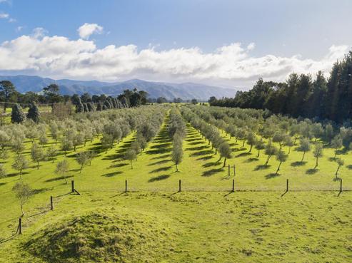 1931 State Highway 2, Featherston