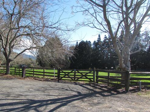 1278 Mcclure Street, Pirongia