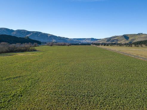 553 Pareora Gorge Road, Maungati