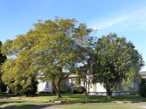 20 Davidson Avenue, Pirimai
