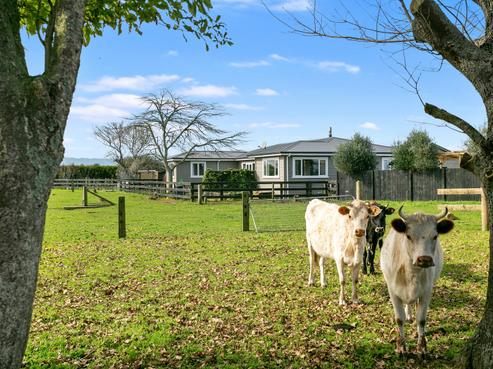 9 Pond Road, Matamata