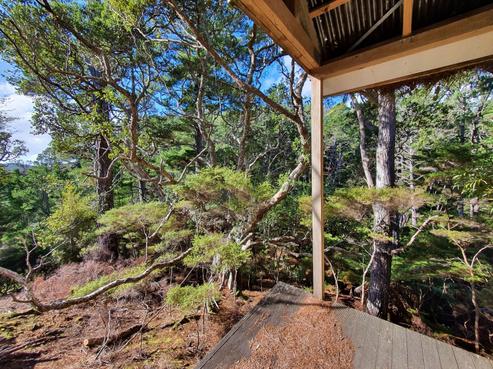 12 Lavinia Place, Kawau Island