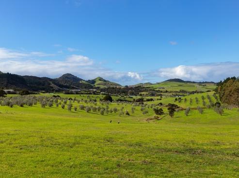 173 Robert Hastie Drive, Mangawhai