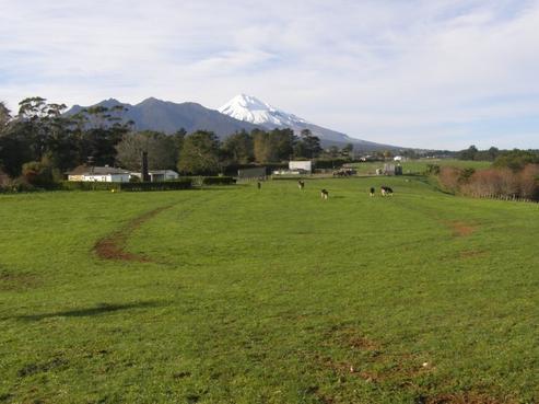 338 Upper Pitone Road, Oakura