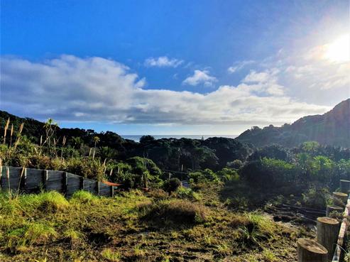 103 Garden Road, Piha
