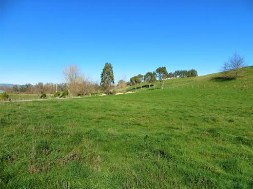 344A Homewood Road, Waipawa
