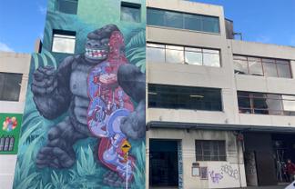 Character Office Space - Te Aro - Great Ebb and Flow