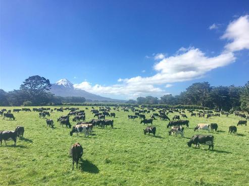 195 Upper Duthie Road, Kaponga