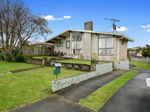 195 Colgan Street, Te Awamutu
