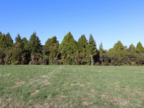 99 Sunset Heights Road, Karamea