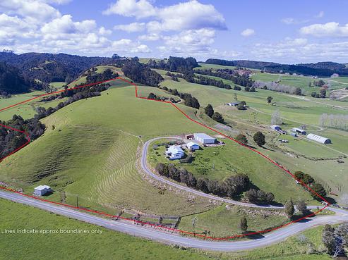82 Johnson Road, Hukerenui and Surrounds