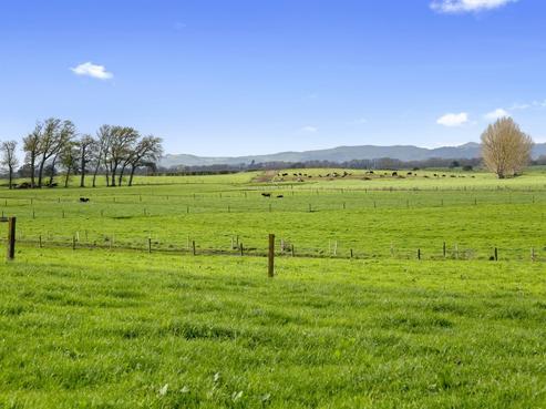123 Cox Road, Rotoorangi