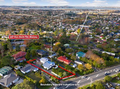 247 Don Buck Road, Massey