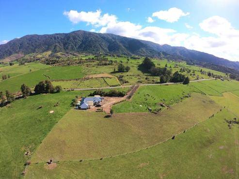 1683 Collingwood-bainham Main Road, Collingwood