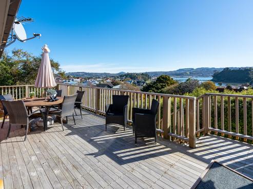 41 Sunbury Street, Andersons Bay