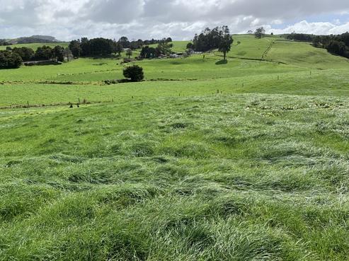 354 Tapuhi Road, Hukerenui and Surrounds