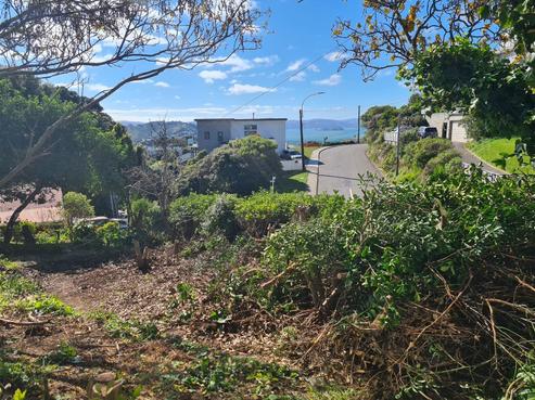68 Beacon Hill Road, Strathmore Park
