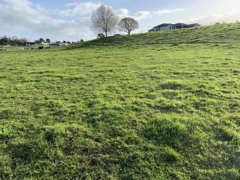 60 Moxham Road, Te Awamutu