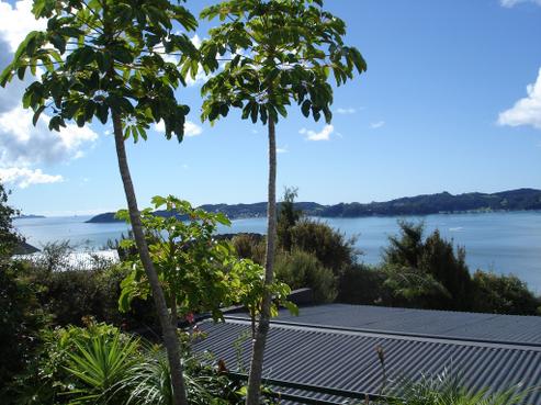 17 Sullivans Road, Paihia