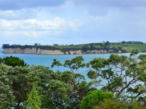 16 Mollyhawk Rise, Arkles Bay