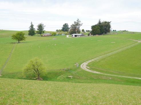 194 Driscoll Road, Levels