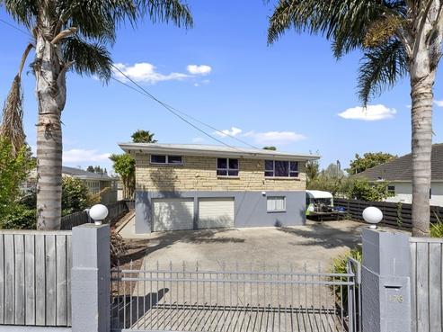 176 Clyde Street, Hamilton East